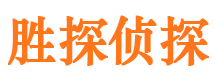 镇安市婚外情调查